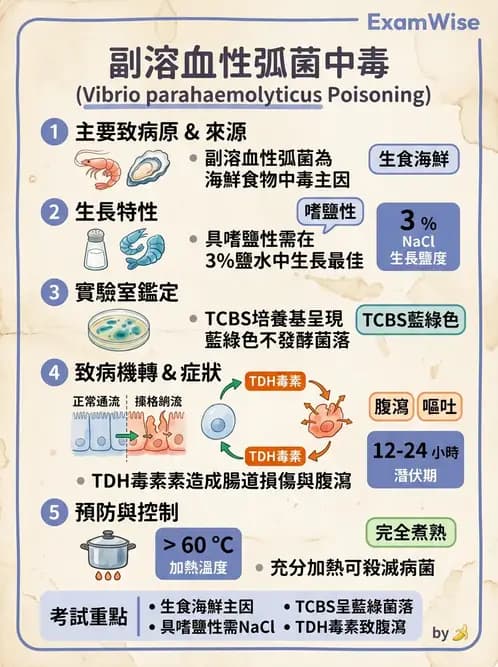 醫檢師 - 弧菌、氣單胞菌與彎曲菌 - AI 圖文解析預覽