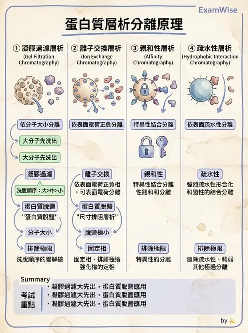 醫檢師 - 基本概念與儀器分析 - AI 圖文解析預覽