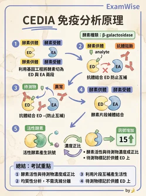 醫檢師 - 基本概念與儀器分析 - AI 圖文解析預覽