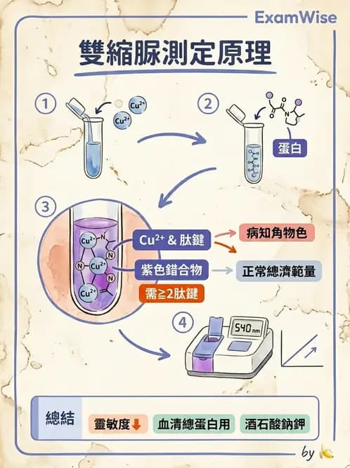 醫檢師 - 血清蛋白與蛋白質檢測 - AI 圖文解析預覽