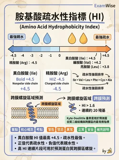 醫檢師 - 胺基酸代謝與先天性疾病 - AI 圖文解析預覽