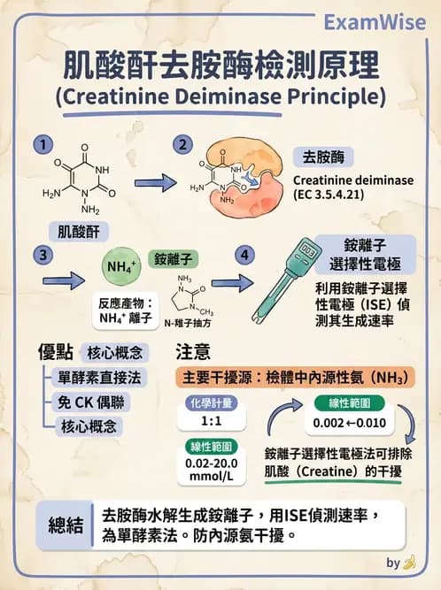 醫檢師 - 腎臟機能與代謝評估 - AI 圖文解析預覽