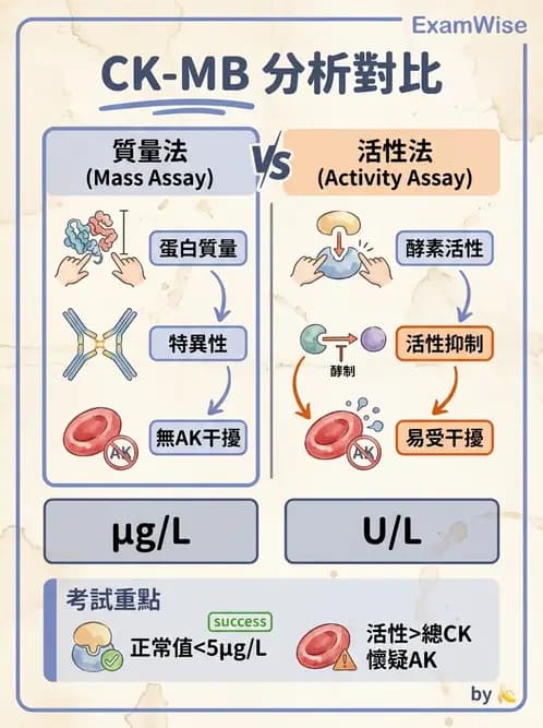 醫檢師 - 心肌標誌與心臟診斷 - AI 圖文解析預覽