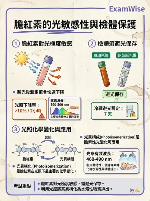 醫檢師 - 肝臟機能與胰臟酵素 - AI 圖文解析預覽