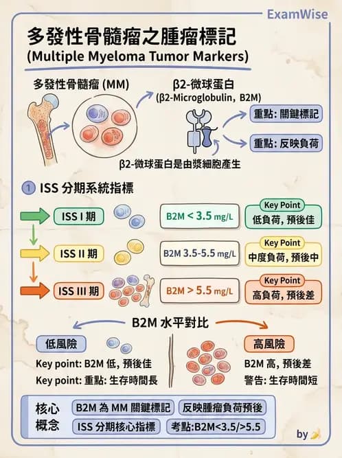 醫檢師 - 腫瘤標誌 - AI 圖文解析預覽