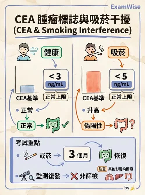 醫檢師 - 腫瘤標誌 - AI 圖文解析預覽