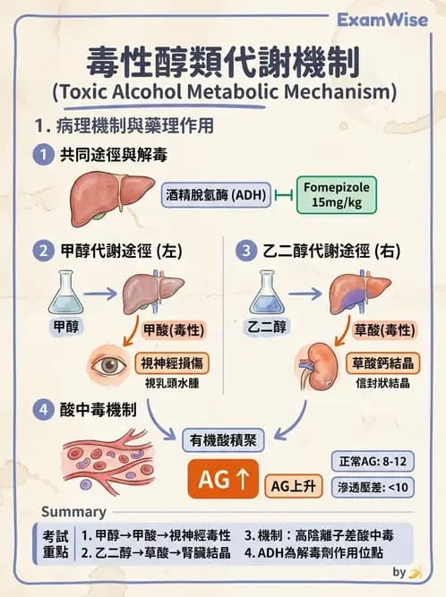醫檢師 - 治療藥物監測與毒物學 - AI 圖文解析預覽