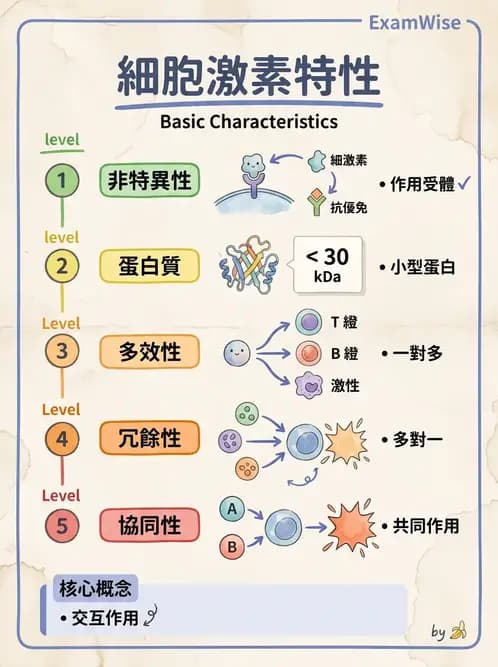 醫檢師 - 細胞激素與抗原呈獻 - AI 圖文解析預覽