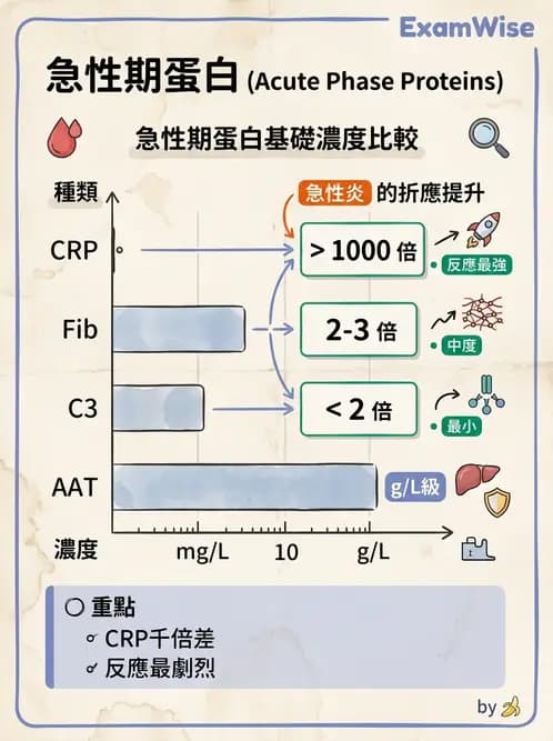醫檢師 - 急性發炎蛋白與微生物感染血清學 - AI 圖文解析預覽