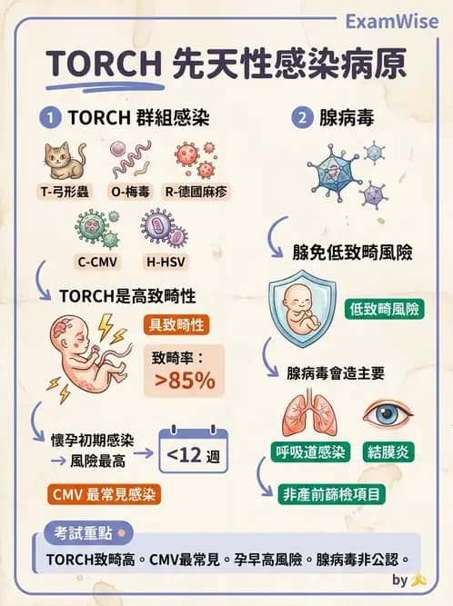 醫檢師 - 腺病毒與痘病毒 - AI 圖文解析預覽