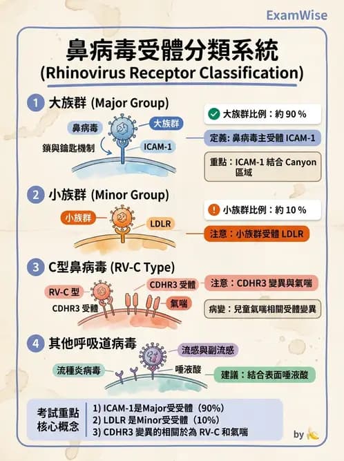 醫檢師 - 小RNA病毒科與腸道病毒 - AI 圖文解析預覽