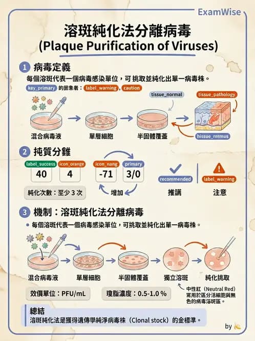 醫檢師 - 病毒檢驗技術 - AI 圖文解析預覽