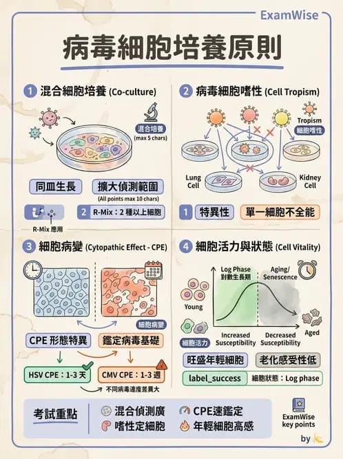醫檢師 - 病毒檢驗技術 - AI 圖文解析預覽