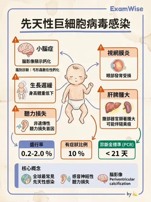 醫檢師 - 疱疹病毒科 - AI 圖文解析預覽