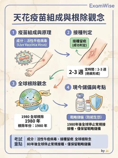 醫檢師 - 腺病毒與痘病毒 - AI 圖文解析預覽