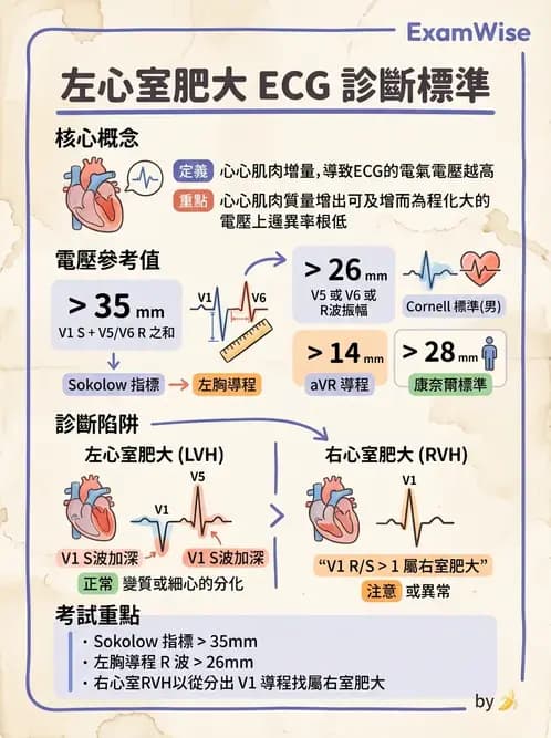 醫檢師 - 心肌病變與特殊心電圖 - AI 圖文解析預覽