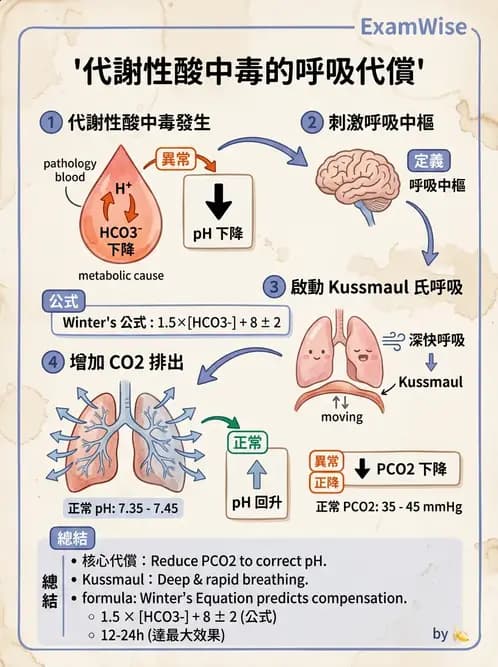 醫檢師 - 血液氣體分析 - AI 圖文解析預覽