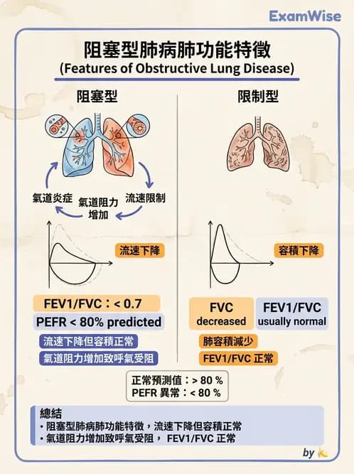 醫檢師 - 肺功能判讀與氣體交換 - AI 圖文解析預覽