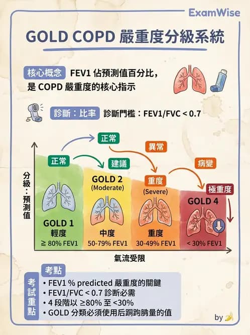 醫檢師 - 肺功能判讀與氣體交換 - AI 圖文解析預覽