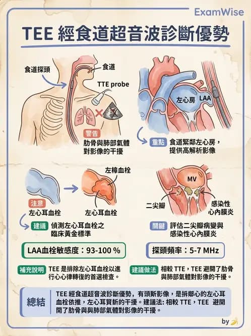 醫檢師 - 超音波檢查 - AI 圖文解析預覽