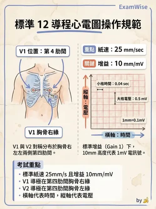 醫檢師 - 心電圖基礎與判讀 - AI 圖文解析預覽