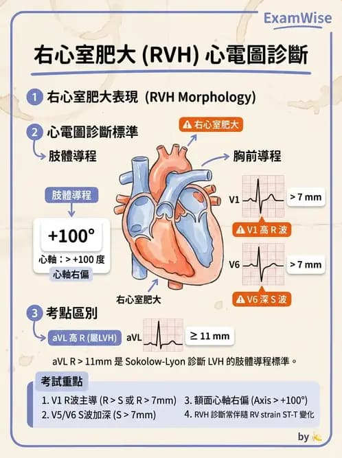 醫檢師 - 心肌病變與特殊心電圖 - AI 圖文解析預覽