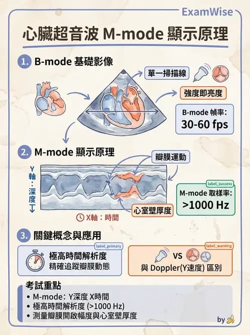 醫檢師 - 超音波檢查 - AI 圖文解析預覽