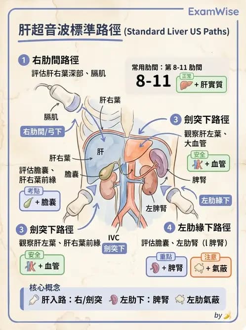 醫檢師 - 超音波檢查 - AI 圖文解析預覽