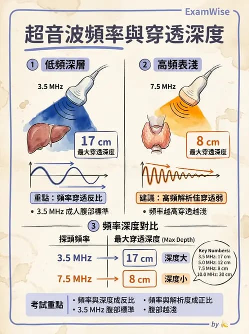 醫檢師 - 超音波檢查 - AI 圖文解析預覽