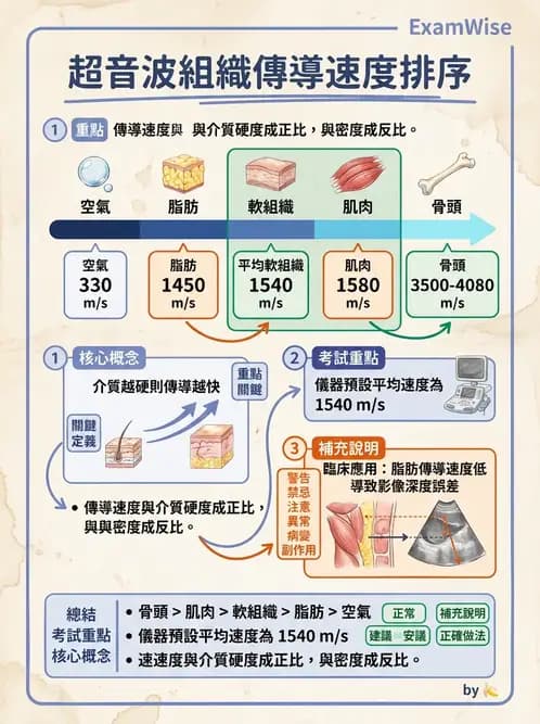 醫檢師 - 超音波檢查 - AI 圖文解析預覽