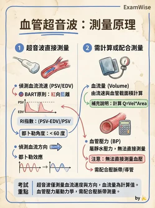 醫檢師 - 超音波檢查 - AI 圖文解析預覽