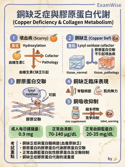 醫檢師 - 物理和化學傷害及營養疾病 - AI 圖文解析預覽