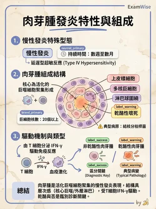 醫檢師 - 細胞傷害、發炎與修復 - AI 圖文解析預覽
