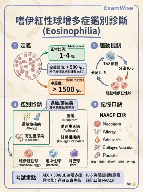 醫檢師 - 造血系統疾病 - AI 圖文解析預覽