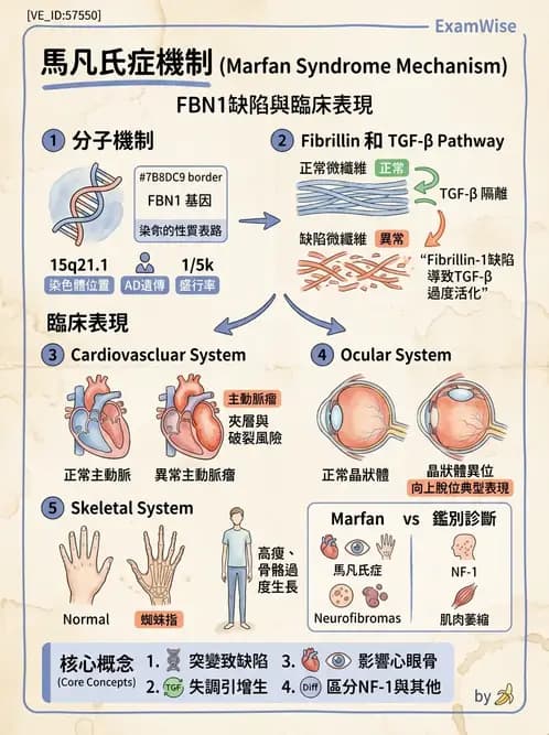 醫檢師 - 遺傳和發育疾病 - AI 圖文解析預覽