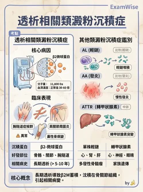 醫檢師 - 免疫疾病 - AI 圖文解析預覽