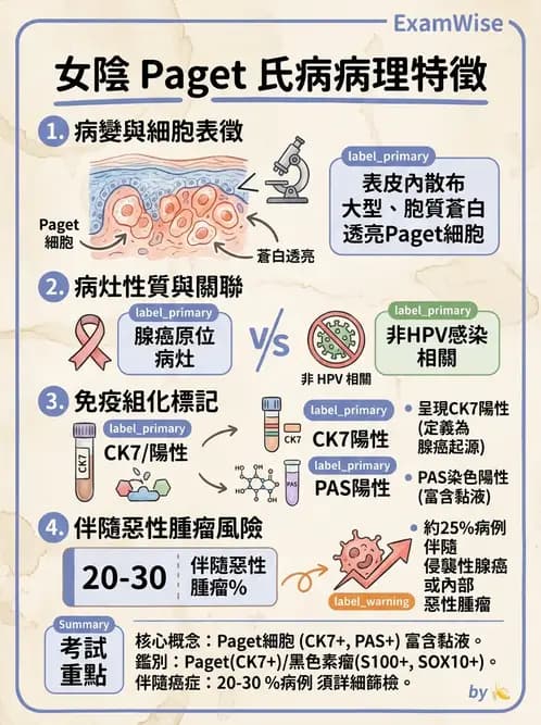 醫檢師 - 乳房及女性生殖疾病 - AI 圖文解析預覽