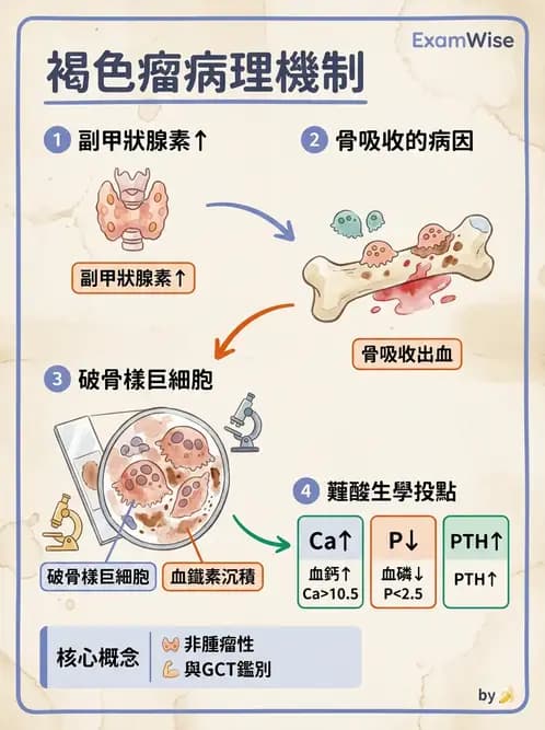 醫檢師 - 內分泌疾病 - AI 圖文解析預覽