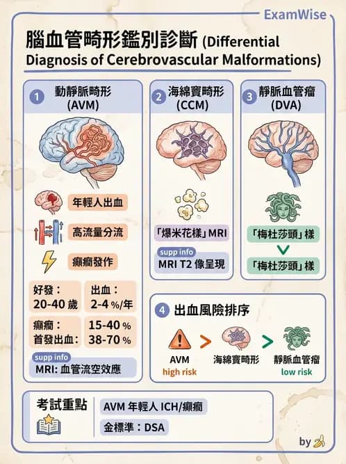 醫檢師 - 神經系統疾病 - AI 圖文解析預覽