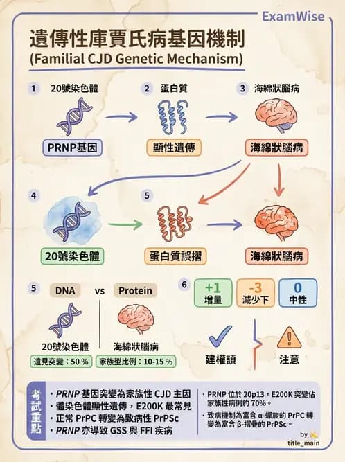 醫檢師 - 神經系統疾病 - AI 圖文解析預覽
