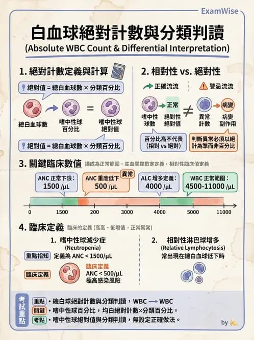 醫檢師 - 白血球生理與形態 - AI 圖文解析預覽