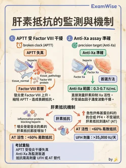 醫檢師 - 血栓性疾病與抗凝治療監測 - AI 圖文解析預覽