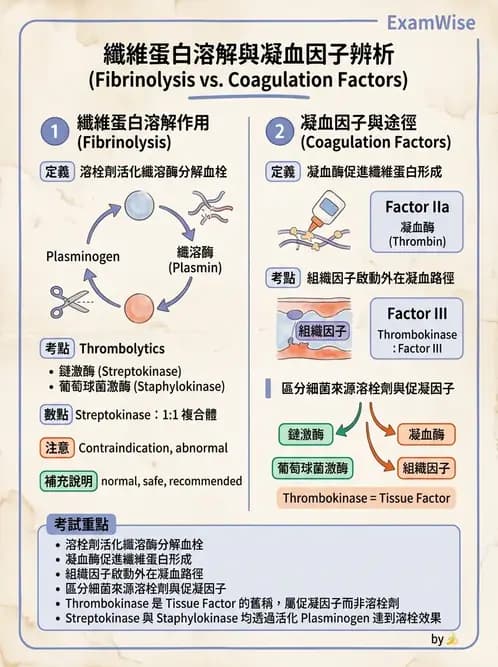 醫檢師 - 血栓性疾病與抗凝治療監測 - AI 圖文解析預覽