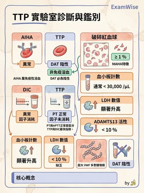 醫檢師 - 出血性疾病與檢驗 - AI 圖文解析預覽