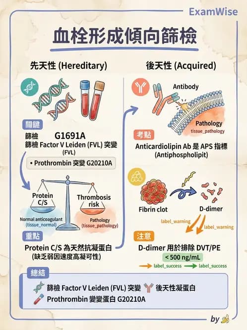 醫檢師 - 血栓性疾病與抗凝治療監測 - AI 圖文解析預覽