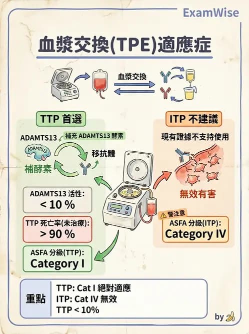 醫檢師 - 輸血反應與血庫品管 - AI 圖文解析預覽