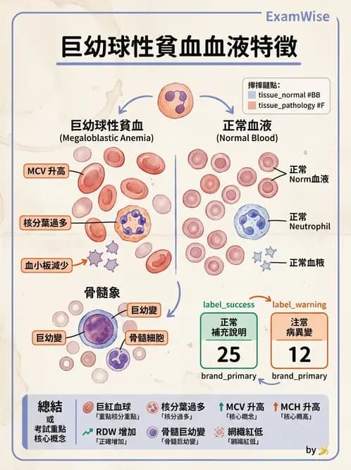 醫檢師 - 貧血診斷與營養缺乏性貧血 - AI 圖文解析預覽