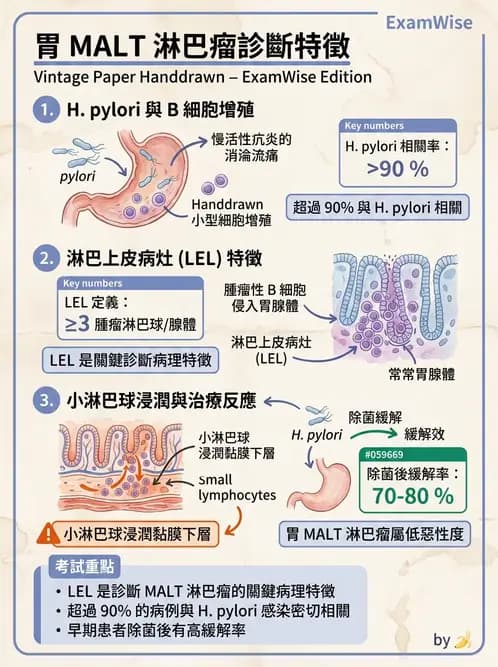 醫檢師 - 淋巴瘤、漿細胞疾病與白血球異常 - AI 圖文解析預覽