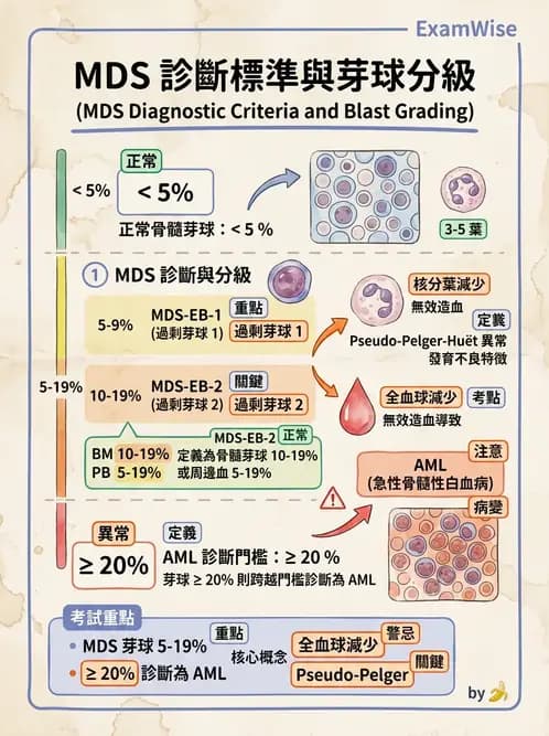 醫檢師 - 慢性血液腫瘤與骨髓增生疾患 - AI 圖文解析預覽