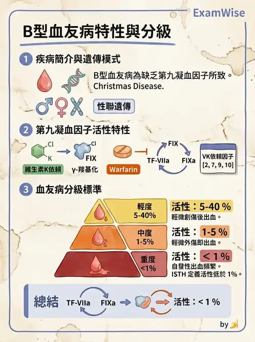 醫檢師 - 凝血因子與凝血檢驗 - AI 圖文解析預覽